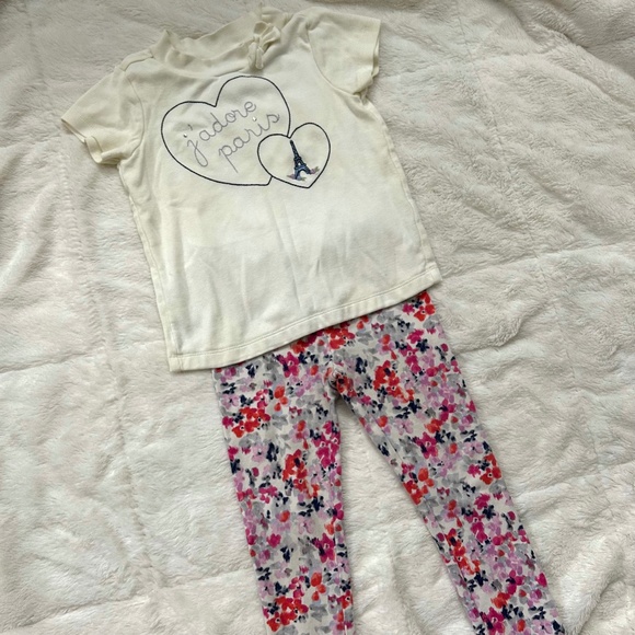 Gymboree Girl’s top and leggings size 4T - Picture 1 of 15